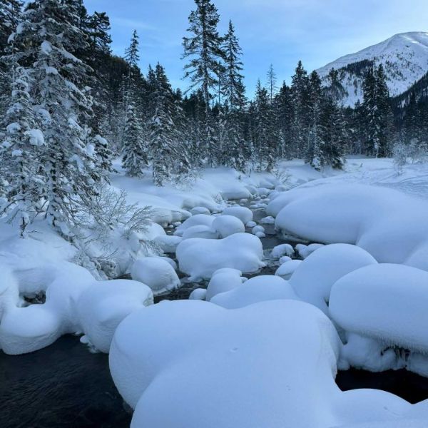 mmexport1766397458432